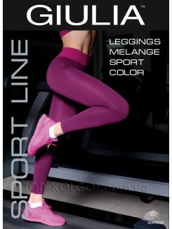Жіночі спортивні штани GIULIA Leggings Melange Sport Color